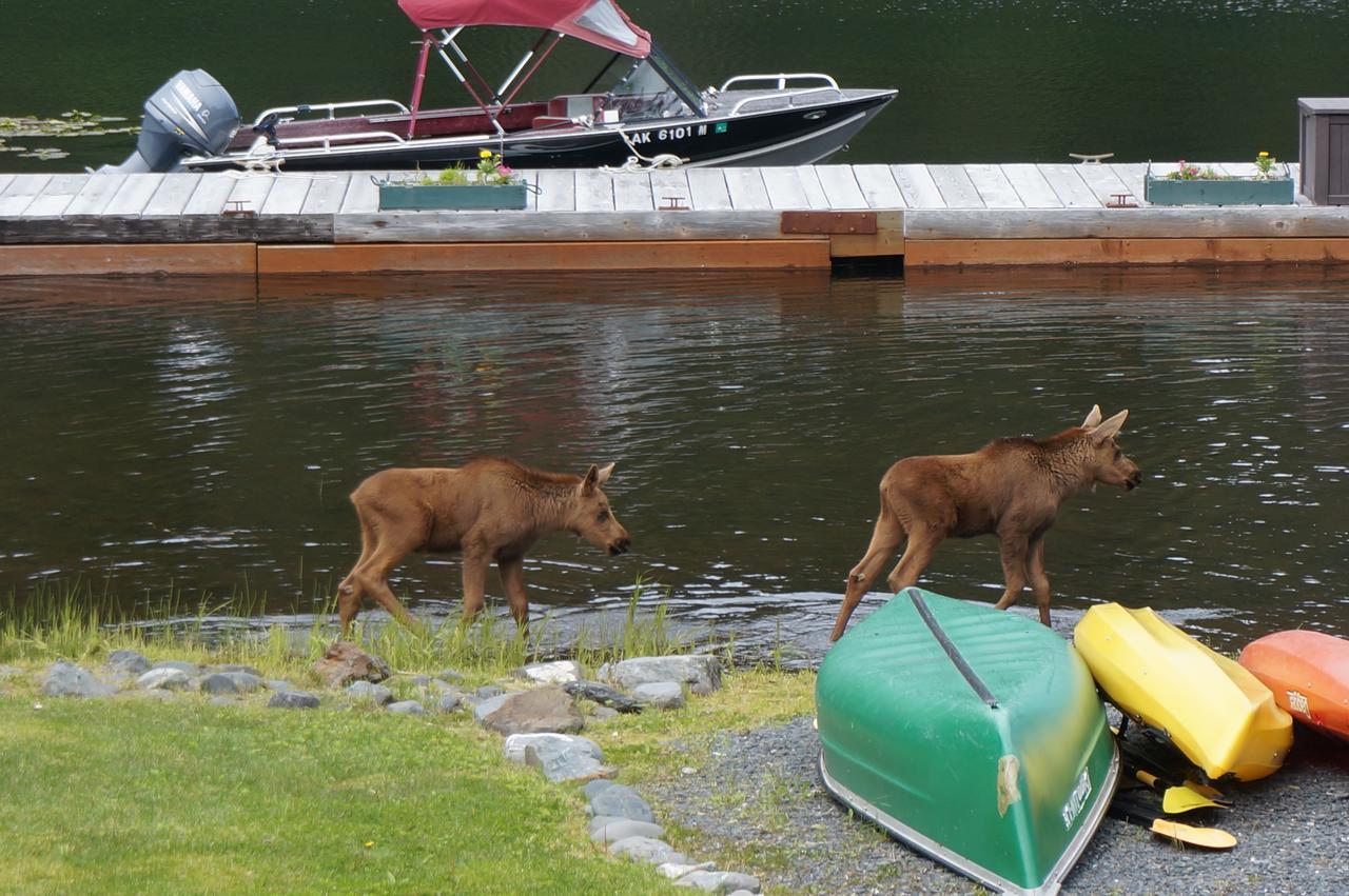 Bear Lake Lodgings B&B, Inc Seward Dış mekan fotoğraf