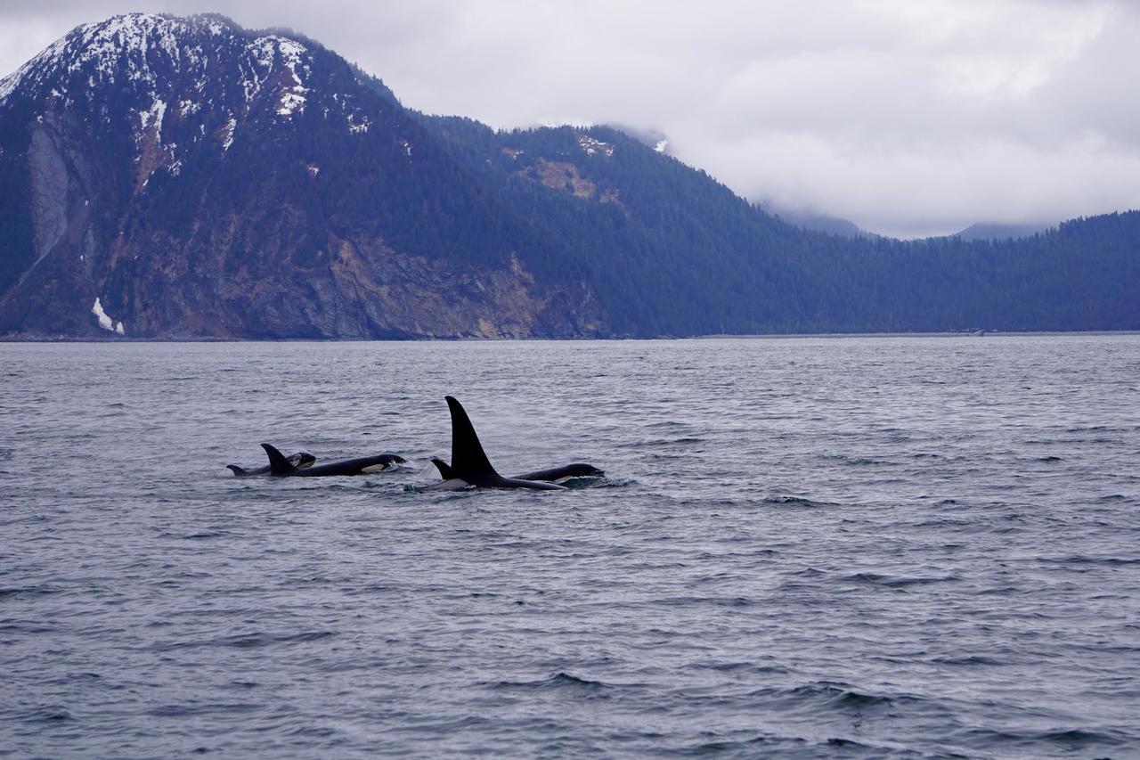 Bear Lake Lodgings B&B, Inc Seward Dış mekan fotoğraf